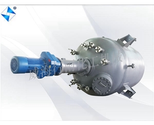 大型生產型反應釜